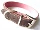 dog collar/lead swastik international 11